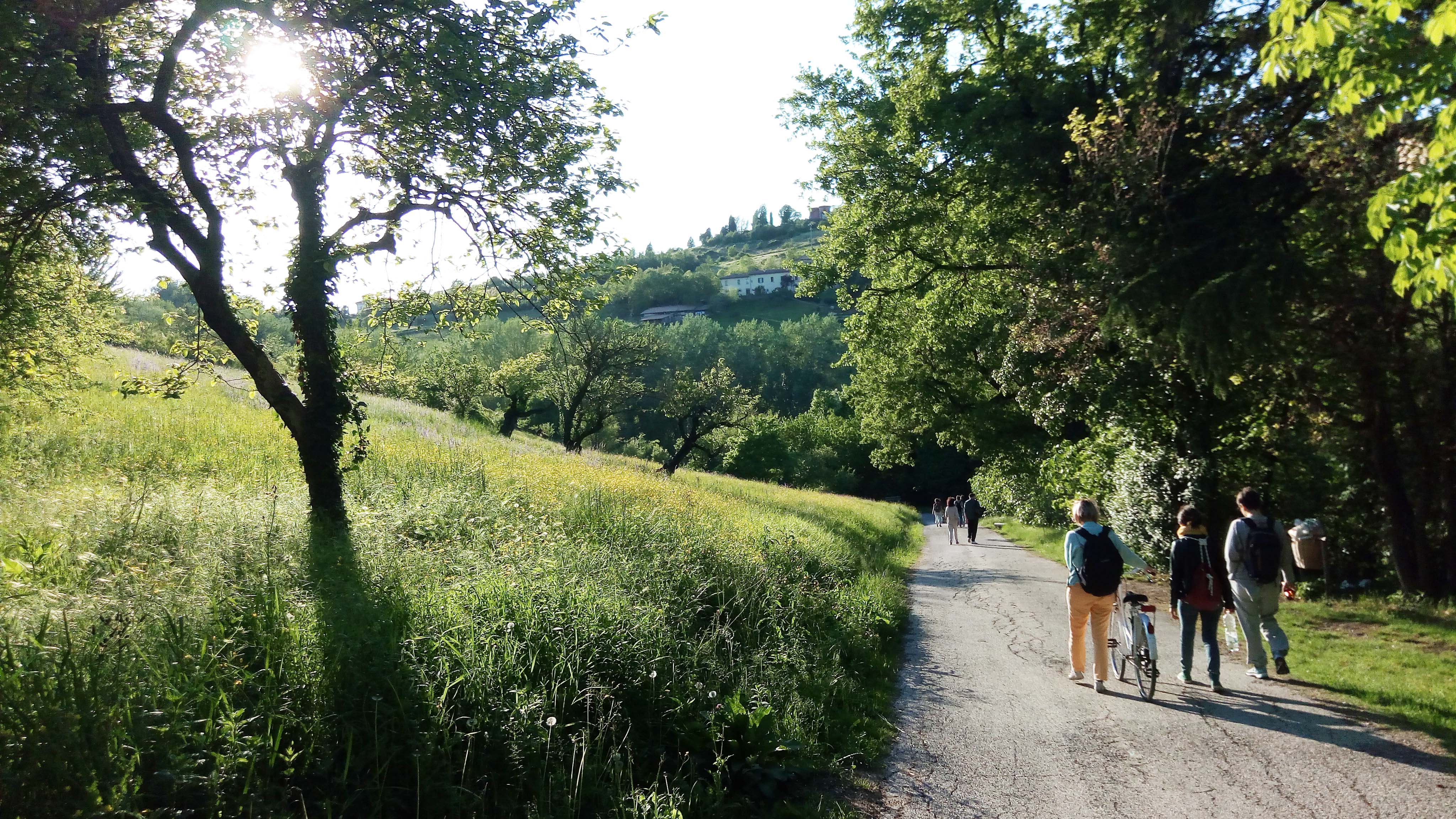 parco Villa Ghigi, Bologna. Foto di Fabio Falleni