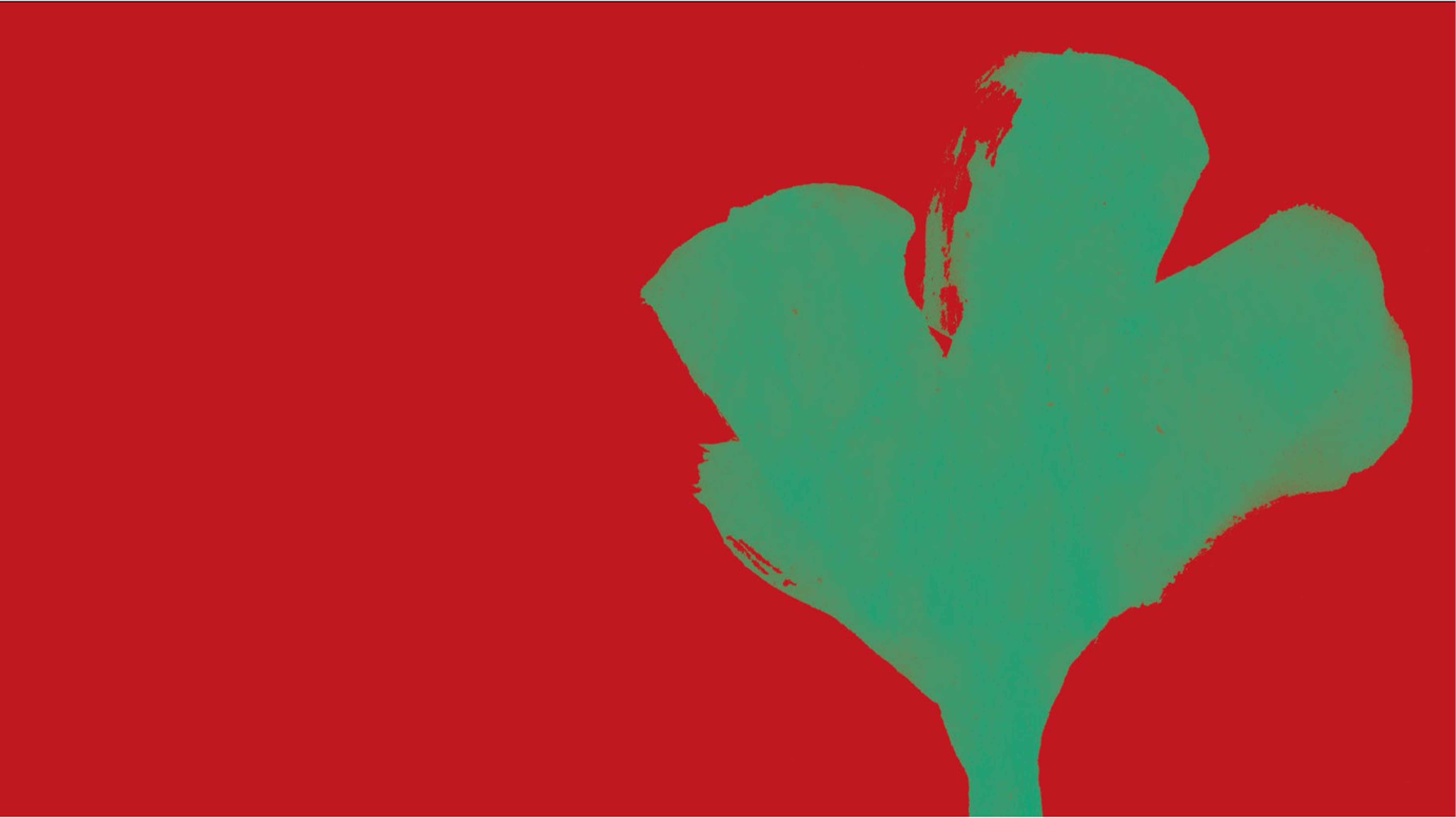 immagine guida del Festival