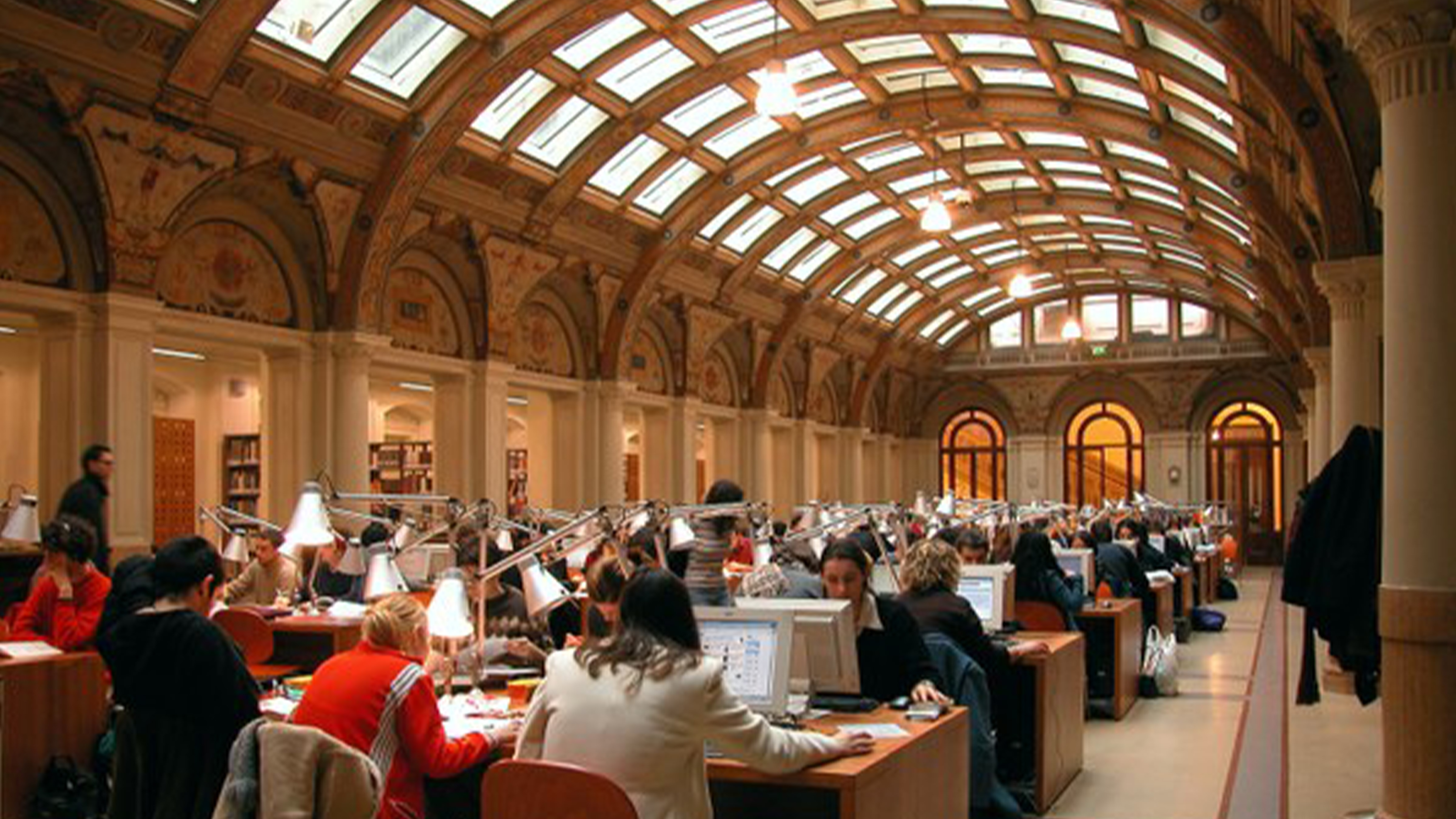 decorativa, biblioteca