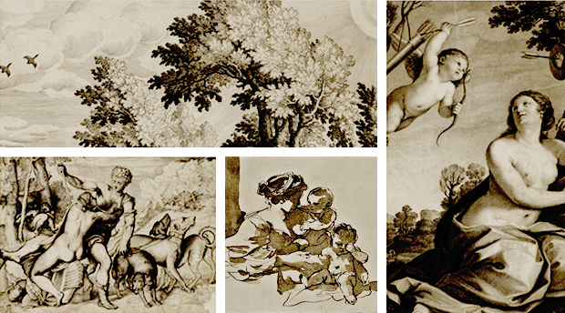 decorativa