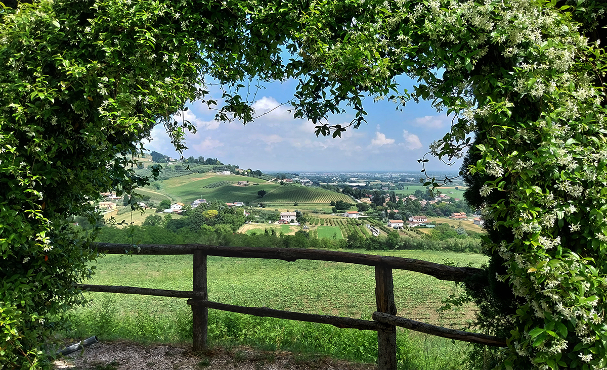 Panorama da Villa Silvia Carducci, Cesena. Foto di Fabio Falleni