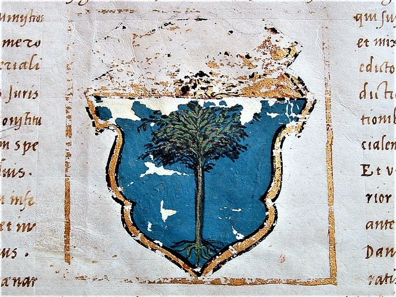 5. Busseto, PR, Archivio Storico Comunale, Diploma Carlo V, particolare centrale con stemma Pallavicino - ph. Alessandra Mordacci,2021