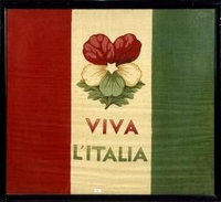 Faenza, Museo del risorgimento e dell'età contemporanea, bandiera tricolore (1861)