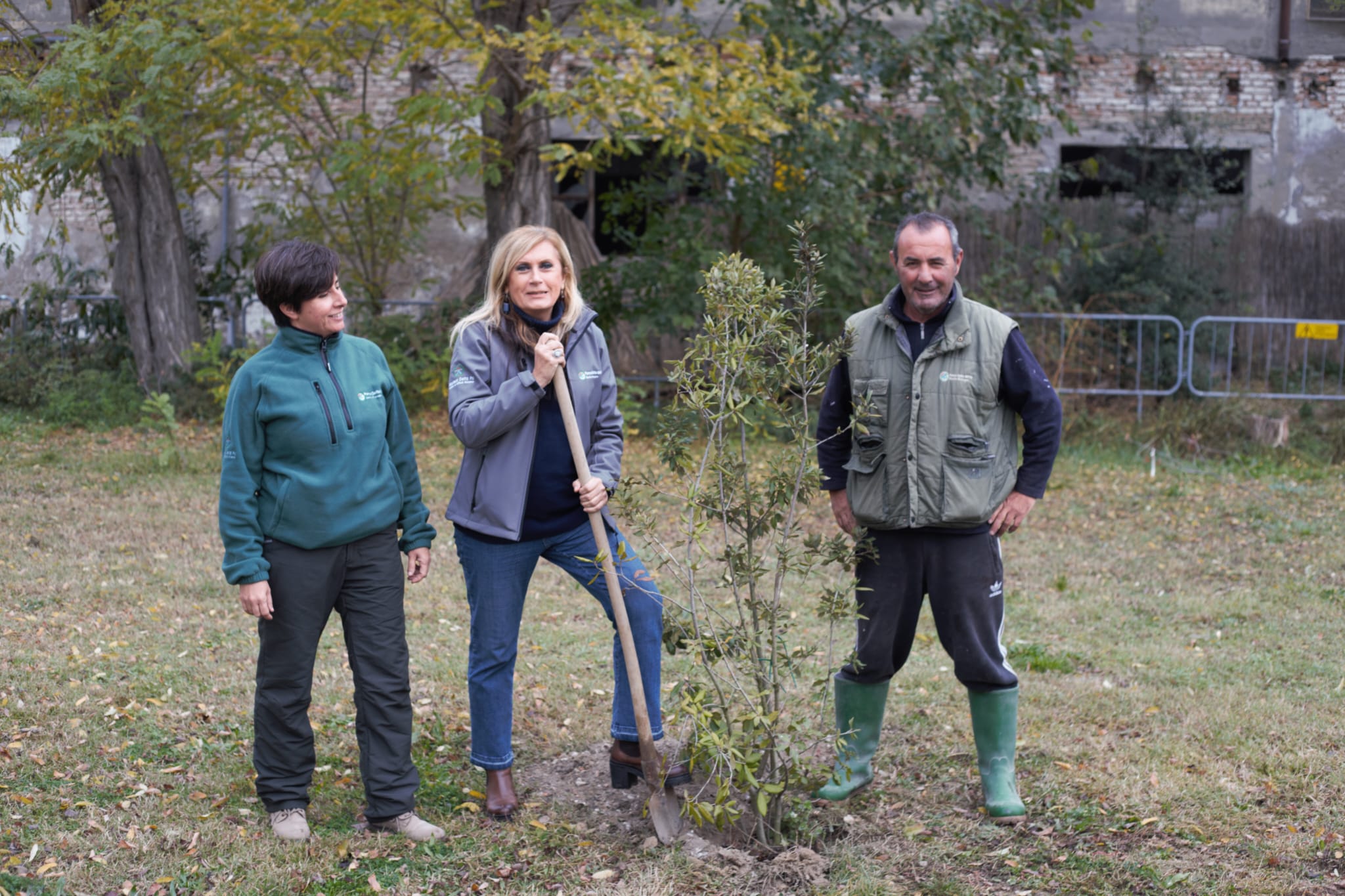 Un albero in più