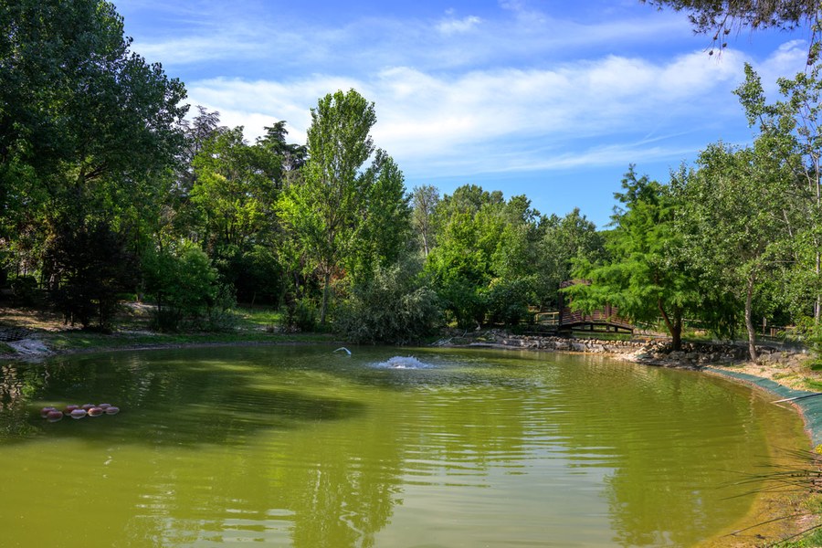 Parco della Resistenza, Veduta, foto Daniele Casalboni per Comune di Riccione