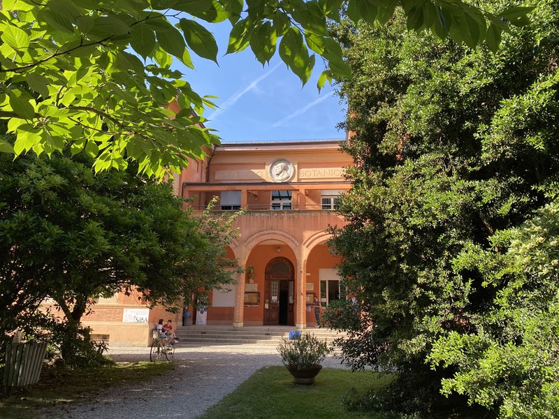 © Orto Botanico ed Erbario | Sistema Museale di Ateneo - Università di Bologna