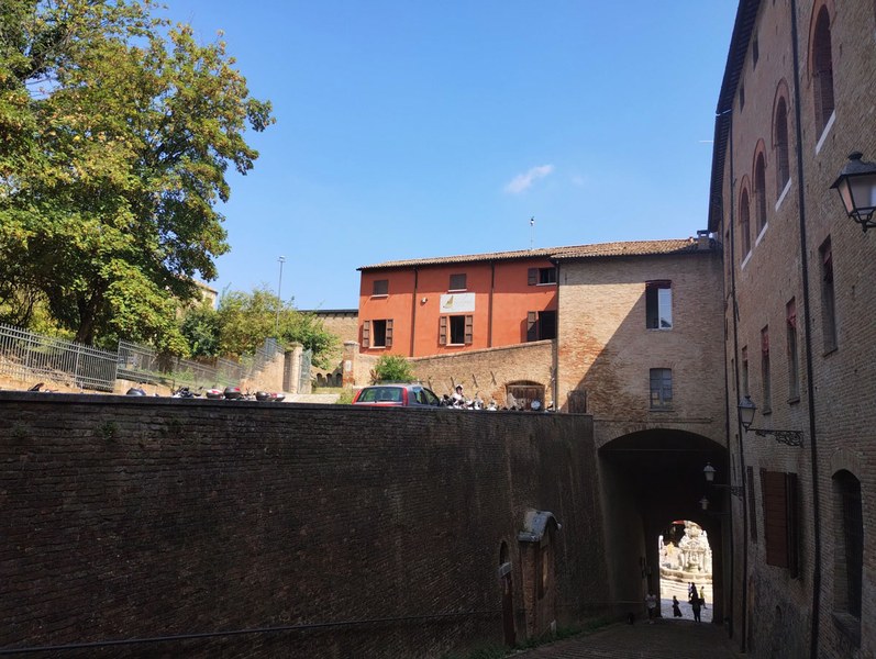 "Natura e arte: alla scoperta del Parco della Rimembranza", foto Comune Cesena