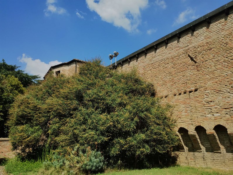 "Natura e arte: alla scoperta del Parco della Rimembranza", foto Comune Cesena