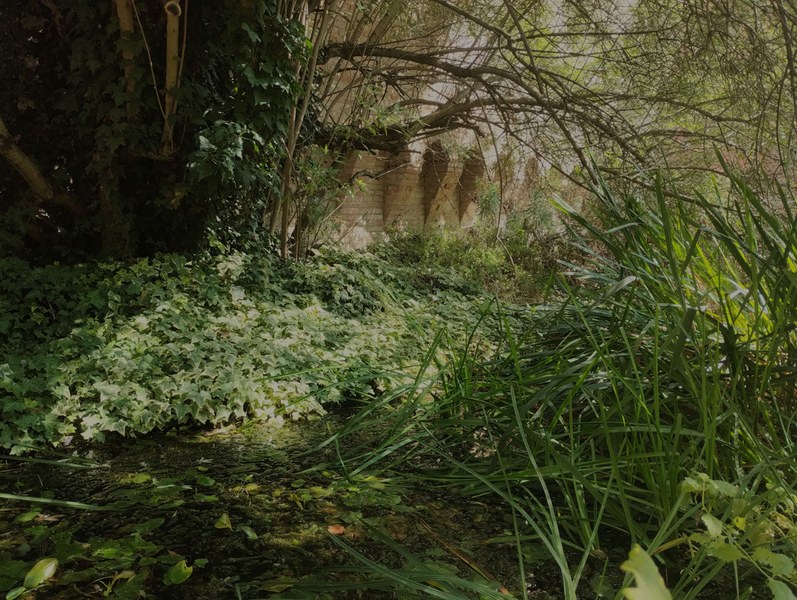 "Natura e arte: alla scoperta del Parco della Rimembranza", foto Comune Cesena