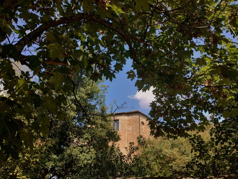 "Natura e arte: alla scoperta del Parco della Rimembranza", foto Comune Cesena