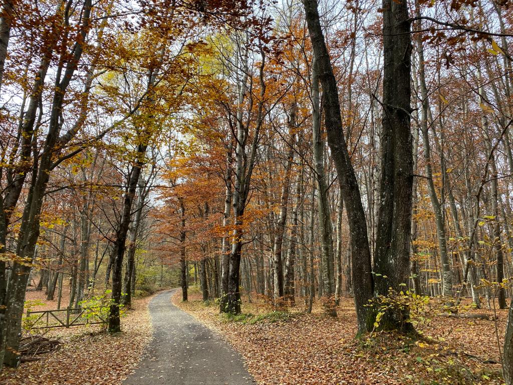  Parco Provinciale del Monte Moria