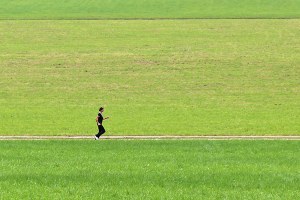 ViVi il Verde 2021: il concorso fotografico