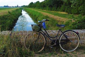 ViVi il Verde 2021. Il paesaggio che cura